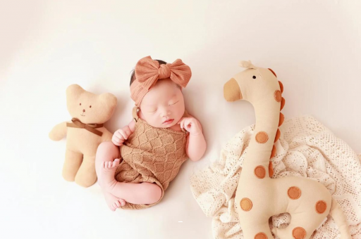 阜阳宝宝虾的做法